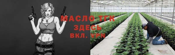 соль ск Алексин