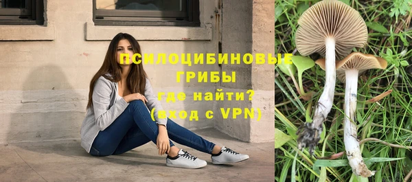 mix Алексеевка